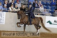 10usn_13684 proof