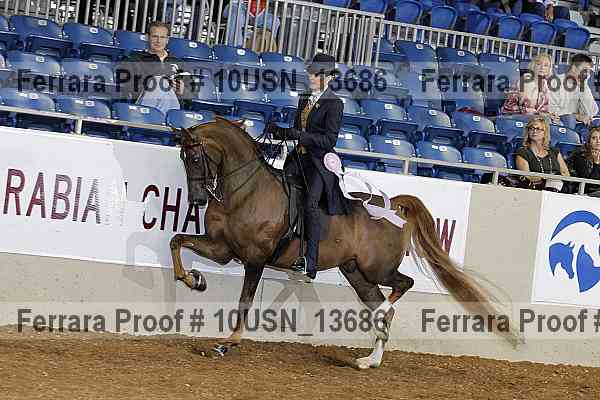 Proof 10usn_13686