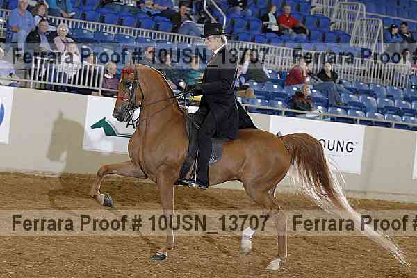 Proof 10usn_13707