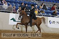 10usn_13712 proof