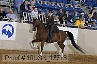 10usn_13713 proof
