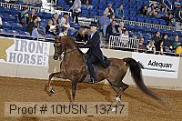 10usn_13717 proof