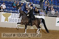 10usn_13723 proof