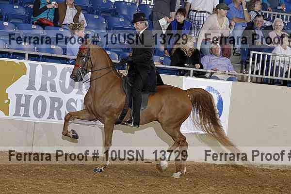 Proof 10usn_13729
