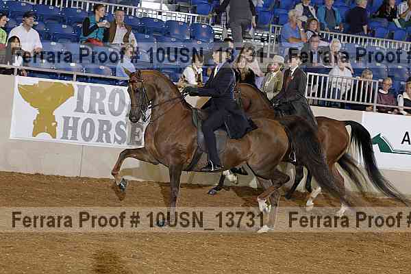 Proof 10usn_13731
