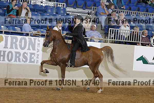 Proof 10usn_13740
