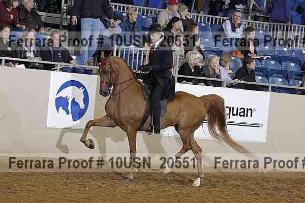 Proof 10usn_20551