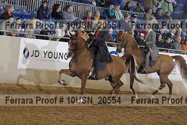 Proof 10usn_20554