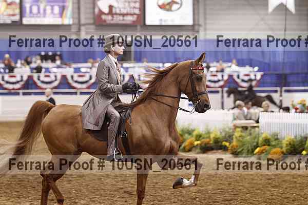 Proof 10usn_20561