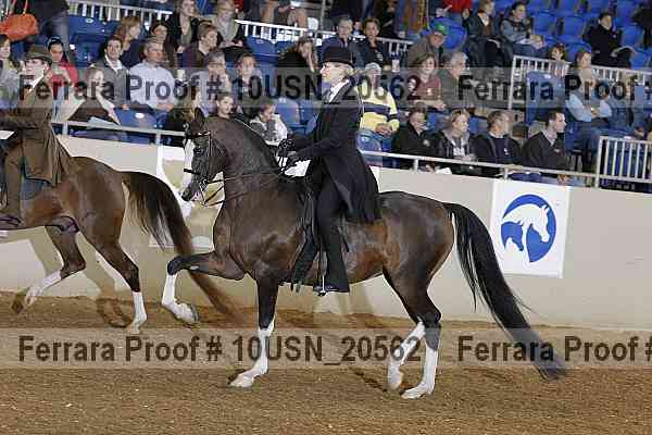 Proof 10usn_20562