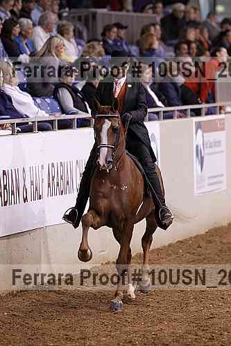 Proof 10usn_20563