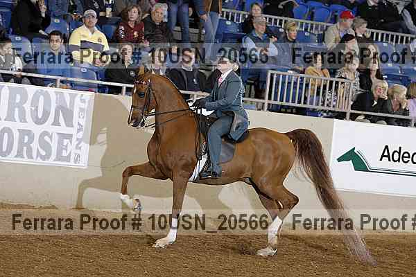 Proof 10usn_20566