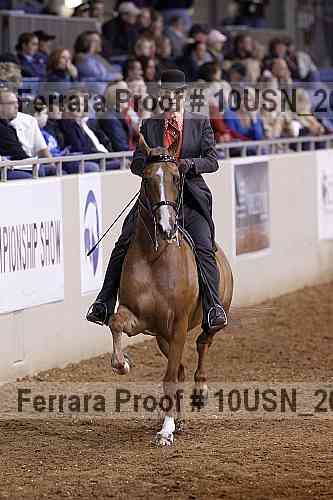 Proof 10usn_20567