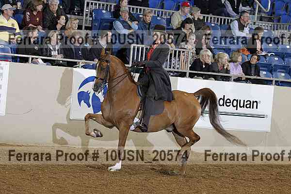 Proof 10usn_20574