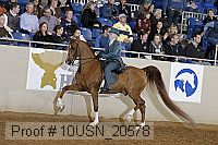 10usn_20578 proof
