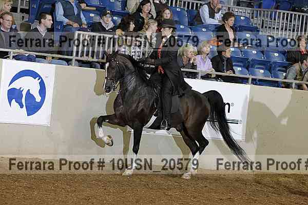 Proof 10usn_20579