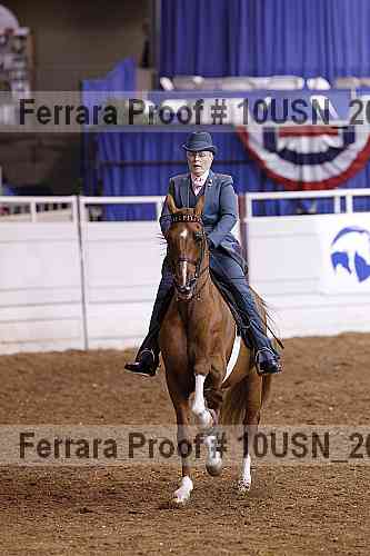 Proof 10usn_20583