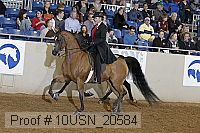 10usn_20584 proof