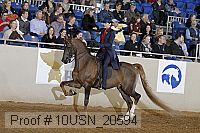 10usn_20594 proof