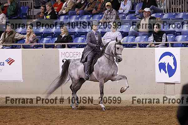 Proof 10usn_20599