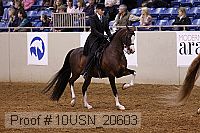 10usn_20603 proof