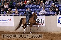 10usn_20604 proof