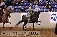 10usn_20605 proof