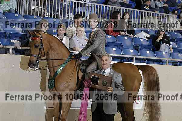 Proof 10usn_20618