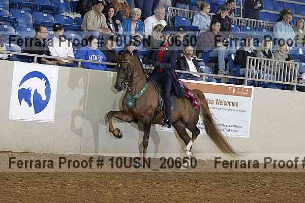 Proof 10usn_20650
