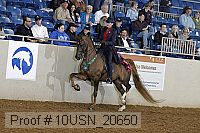 10usn_20650 proof