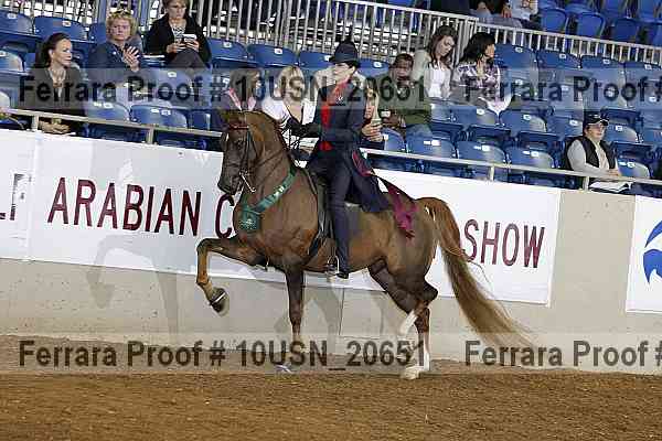 Proof 10usn_20651