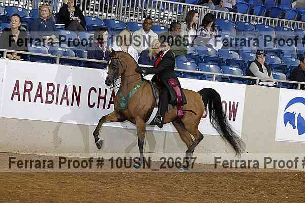 Proof 10usn_20657