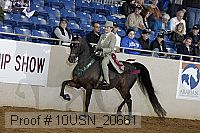 10usn_20661 proof