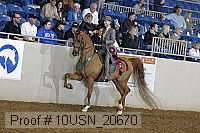 10usn_20670 proof