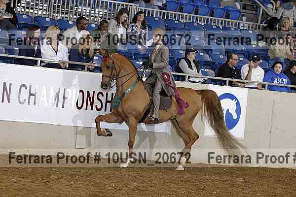 Proof 10usn_20672