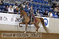 10usn_20672 proof