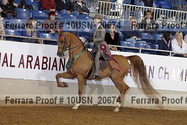 Proof 10usn_20674