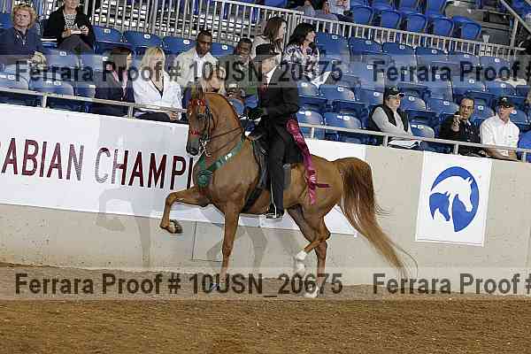 Proof 10usn_20675