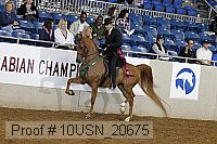 10usn_20675 proof