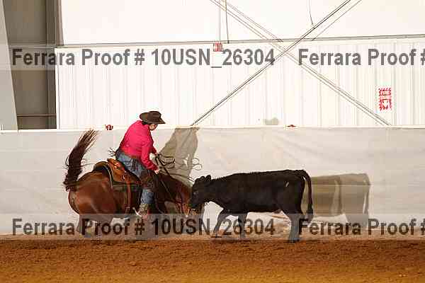 Proof 10usn_26304