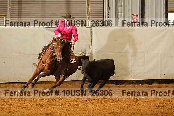 Proof 10usn_26306