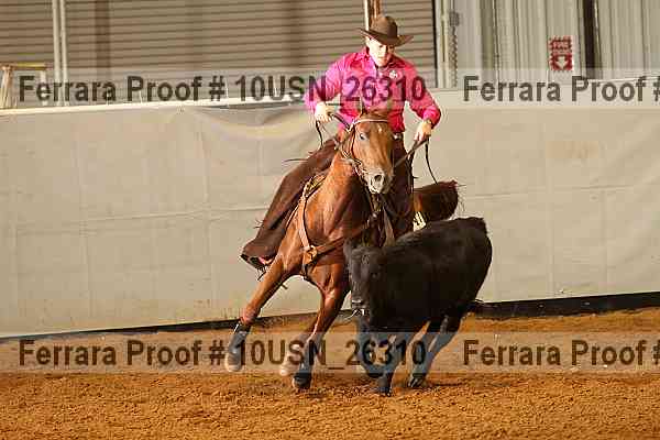 Proof 10usn_26310