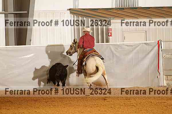 Proof 10usn_26324
