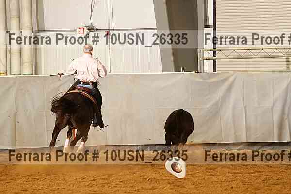 Proof 10usn_26335