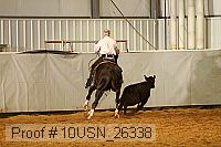 10usn_26338 proof