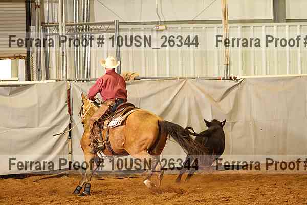 Proof 10usn_26344