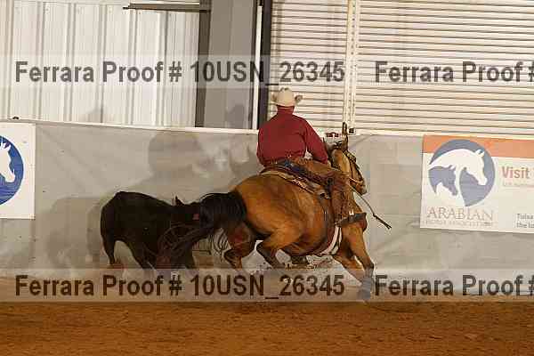 Proof 10usn_26345