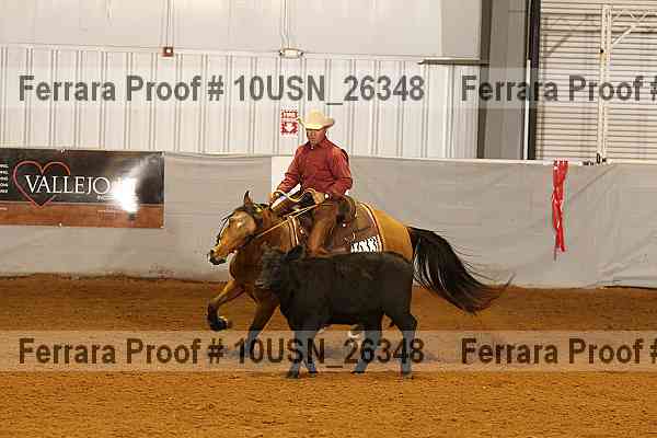 Proof 10usn_26348