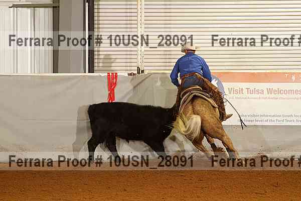 Proof 10usn_28091