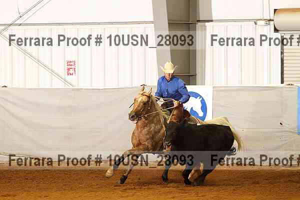 Proof 10usn_28093